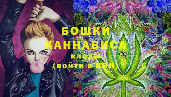 гашиш Богданович