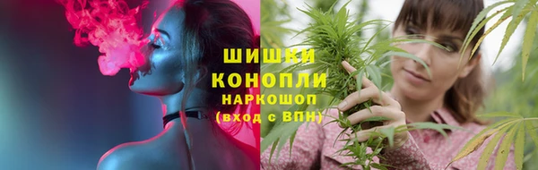 гашиш Богданович