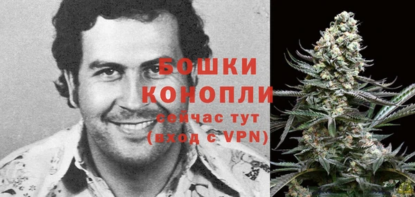 гашиш Богданович