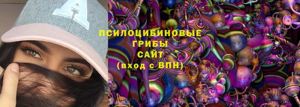 гашиш Богданович