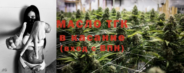 гашиш Богданович