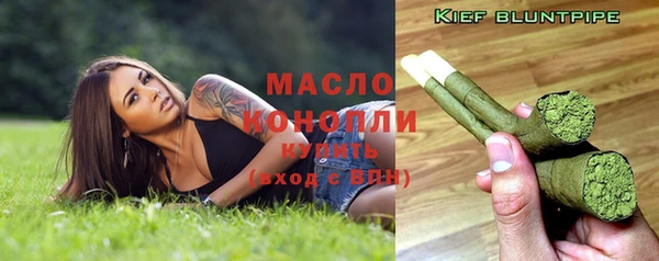 гашиш Богданович
