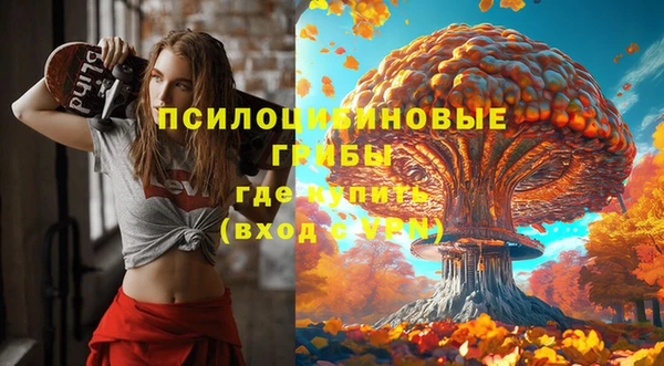 метамфетамин Богородицк