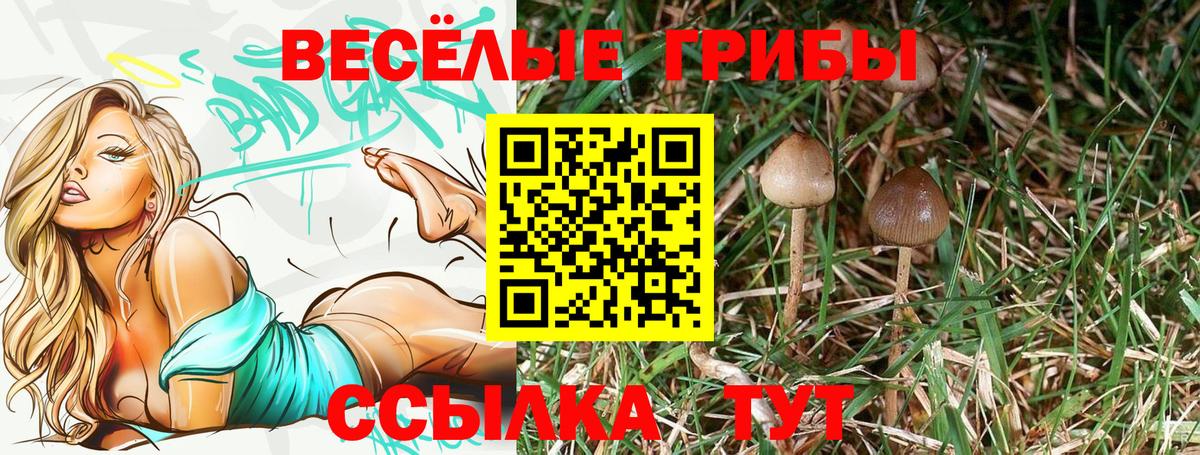 Меф МЯУ МЯУ   Гудермес  Вход с VPN  A-PVP СК   Конопля  Гашиш  Кокаин  НБОМе 